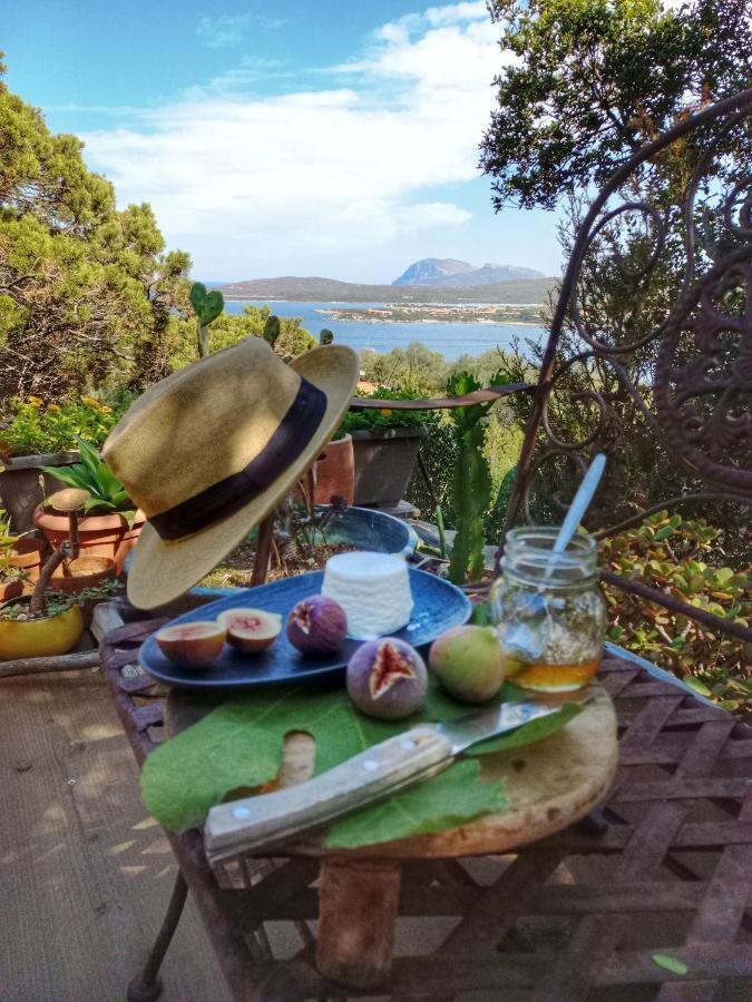 Villa Khepri Porto Rotondo Eksteriør billede